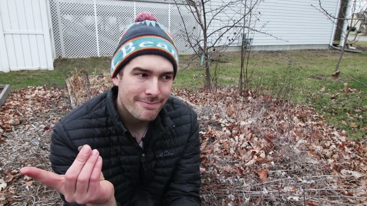 3 Reasons THIS Is The Most Important Skill Every Gardener Should Know!