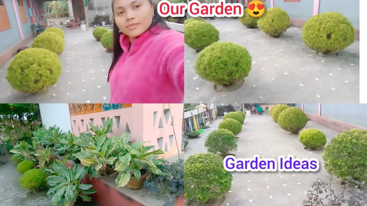 đAssamese Vlog || āĻāĻŽāĻžā§° āĻā§°ā§° āϏ⧰⧠āĻĢā§āϞāύāĻŋ āĻŦāĻžāĻāĻŋāĻāĻž || Garden Ideas Tips And Tricksđą#dailyvlog#assamindia đAssamese Vlog || āĻāĻŽāĻžā§° āĻā§°ā§° āϏ⧰⧠āĻĢā§āϞāύāĻŋ āĻŦāĻžāĻāĻŋāĻāĻž || Garden Ideas Tips And Tricksđą#dailyvlog#assamindia