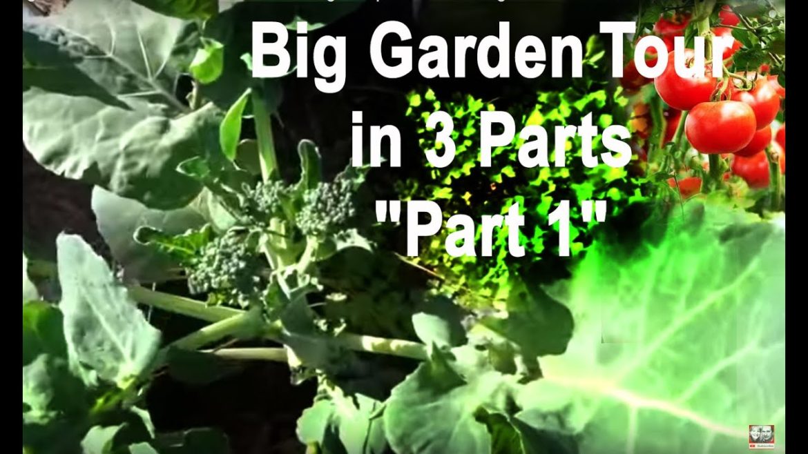 Garden Tour April-Growing Food in Front Yard-Container Gardening-Compost in Place-Vegetables-Part 1 Garden Tour April-Growing Food in Front Yard-Container Gardening-Compost in Place-Vegetables-Part 1