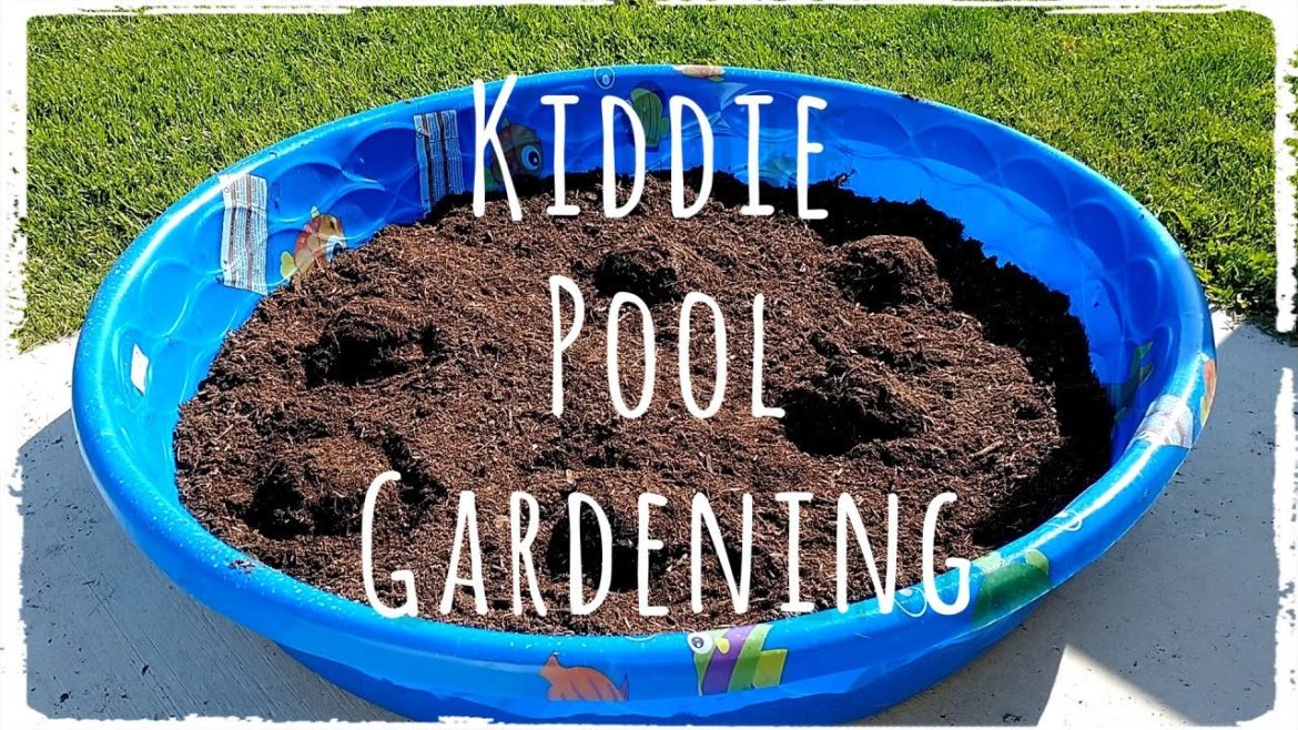 GARDENING IN A KIDDIE POOL?!? GARDENING IN A KIDDIE POOL?!?