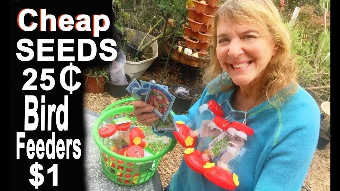 Garden Finds $1 Store Seeds Hummingbird Feeders Container Gardening Dollar Tree Video