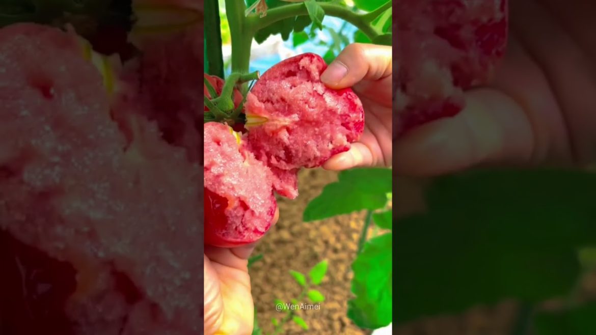 Beautiful Nature with Rural Life #shorts #naturalife #rurallife