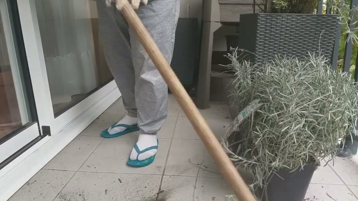 How to re planting an stranger grass? #plant #replanting