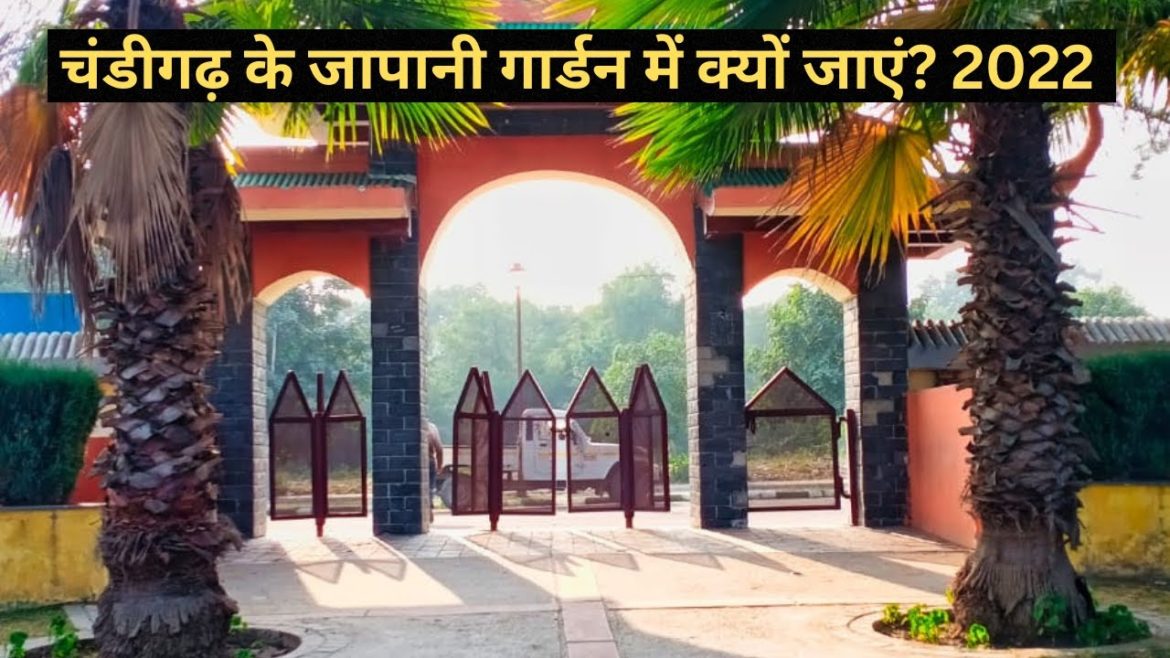 why to visit Japanese garden of chandigarh 2022? चंडीगढ़ के जापानी गार्डन क्यों जाएं?#trending#viral