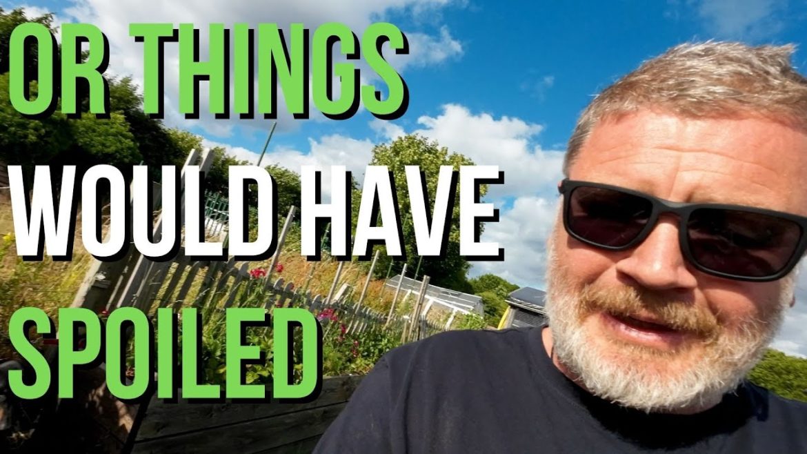 Everything Has To Come Together - Allotment Gardening With Tony