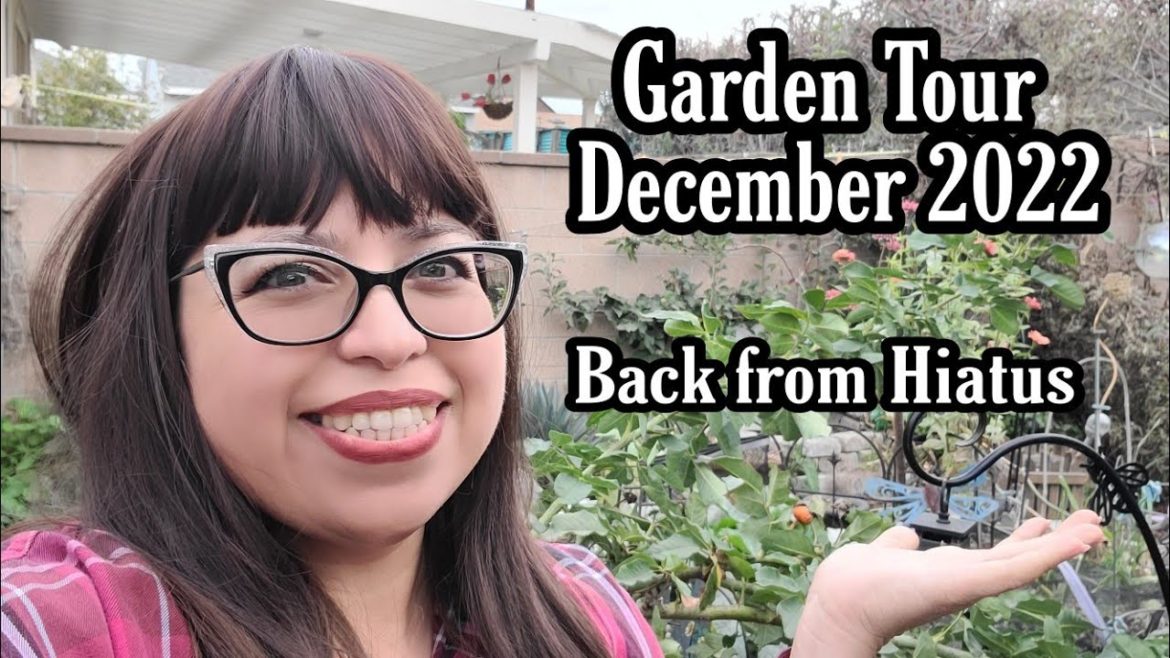 Garden Tour December 2022 - Back from Hiatus - Zone 10B