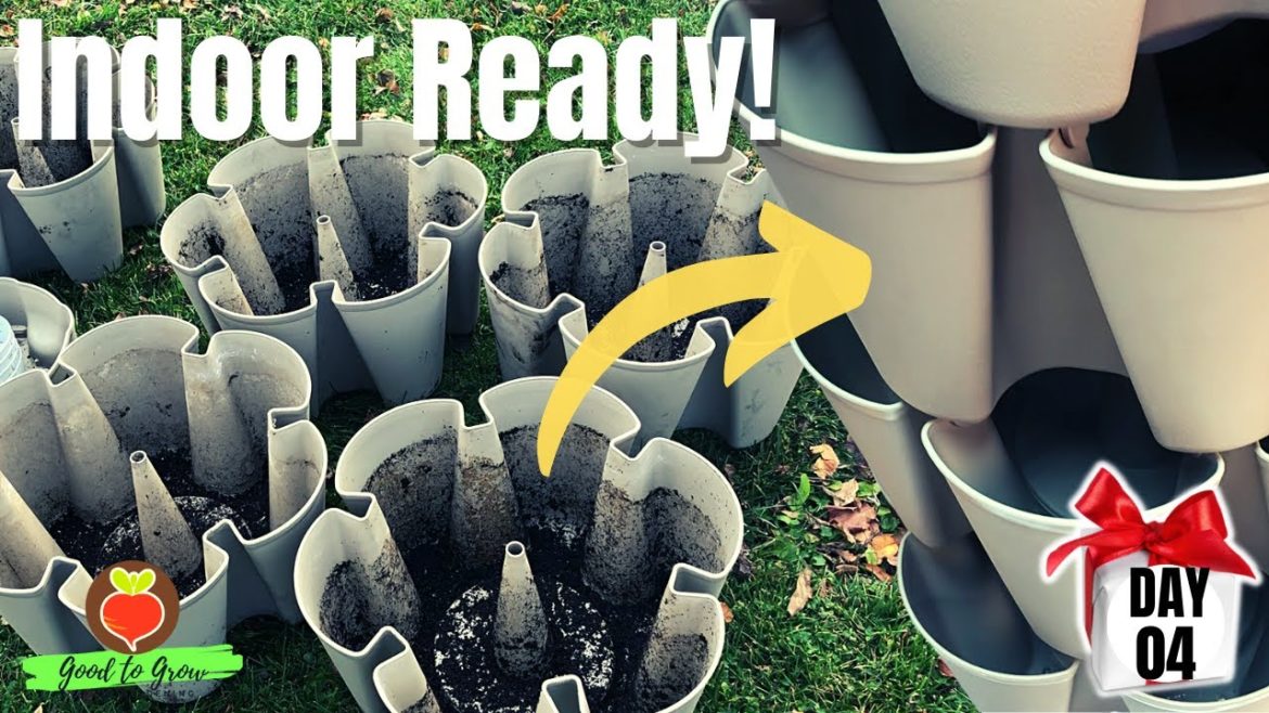 Yes, You Can Bring Your GreenStalk Indoors -  and it's DAY FOUR of our 31 Days of Giving!