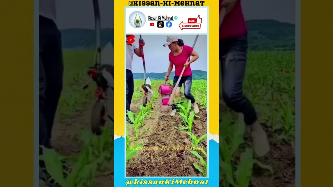 Hand-pulled Plow / AgriTools / Gardening Hand Tools / Agriculture Tools Hand-pulled Plow / AgriTools / Gardening Hand Tools / Agriculture Tools