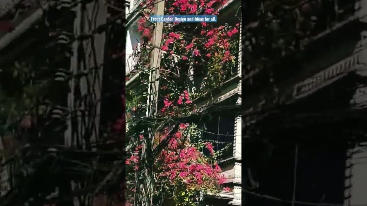 Front Garden Design and Decoration Ideas for all. #shorts Front Garden Design and Decoration Ideas for all. #shorts