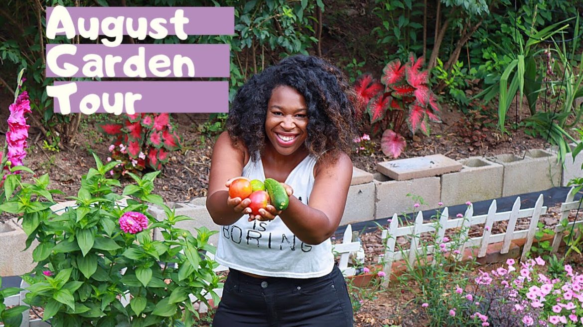 Zone 7b Backyard Garden Update