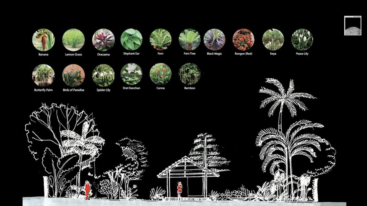 Saturday Sojourns | Influence, Practice, and Way Forward – Landscape Design in Bangladesh Saturday Sojourns | Influence, Practice, and Way Forward - Landscape Design in Bangladesh