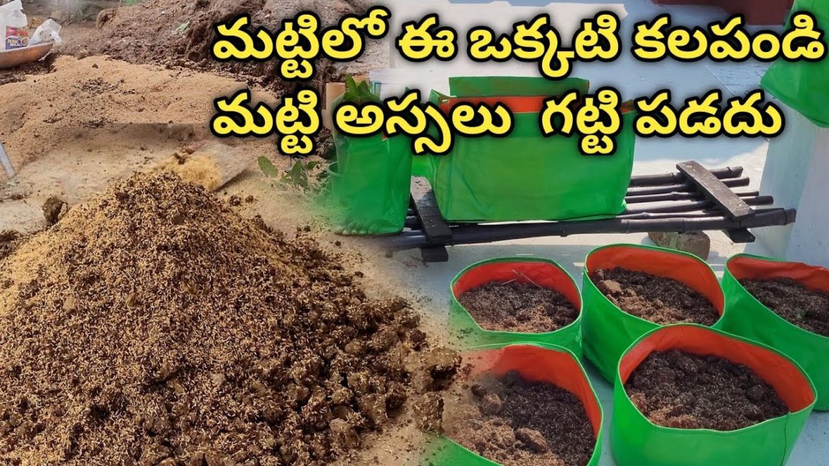 How to make best container soil mix | soil mixture and potting mix | nutrients rich soil mixture How to make best container soil mix | soil mixture and potting mix | nutrients rich soil mixture