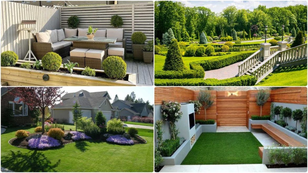 Creative Garden design/backyard garden design idea