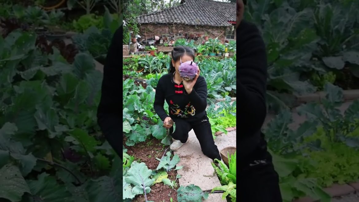 Beautiful Nature with Rural Life #shorts #naturalife #rurallife