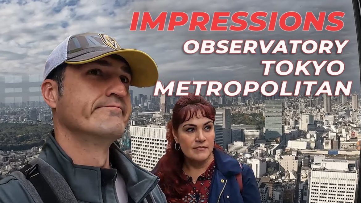 Impressions of the Tokyo Metropolitan Government Building observatory | Shinjuku National Garden