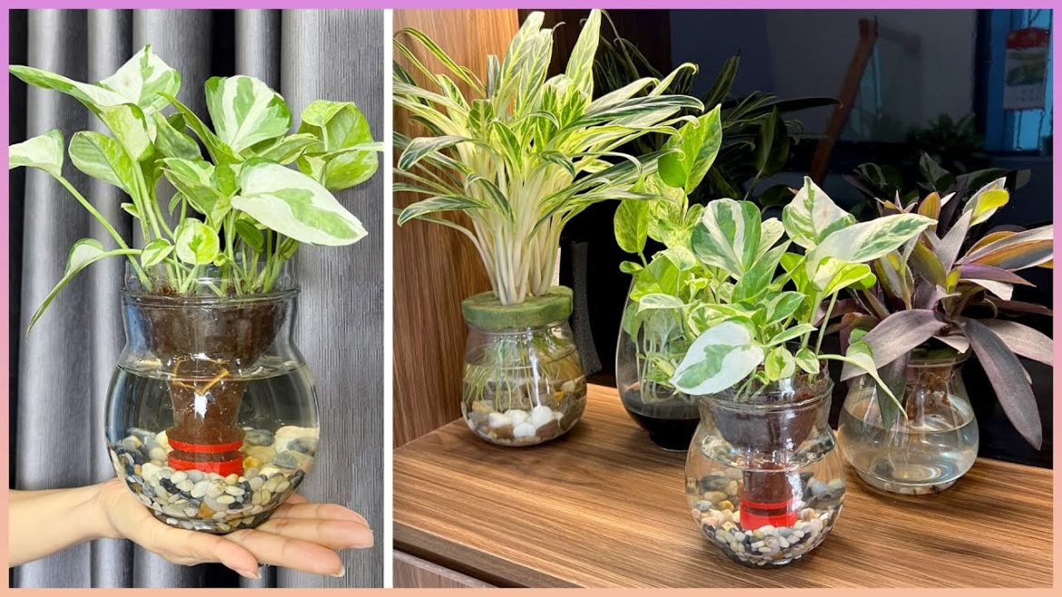 It's great to turn an old plastic bottle into a lovely potted plant to dispel stress and fatigue It's great to turn an old plastic bottle into a lovely potted plant to dispel stress and fatigue