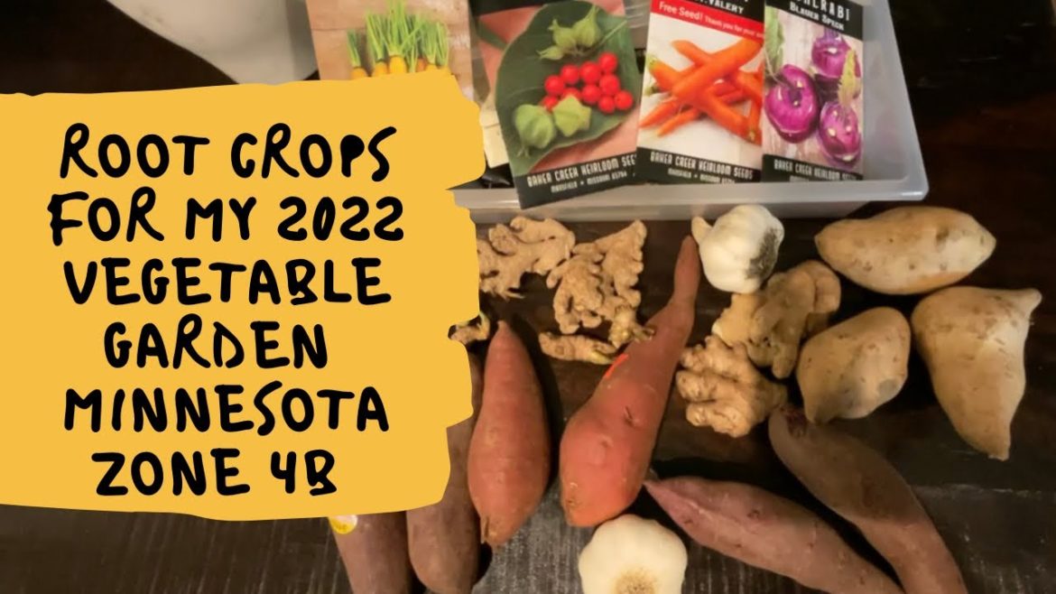 Plans for 2022 Garden - Root Vegetable for Zone 4 Garden - Baker Creek Seeds & Grocery Starts