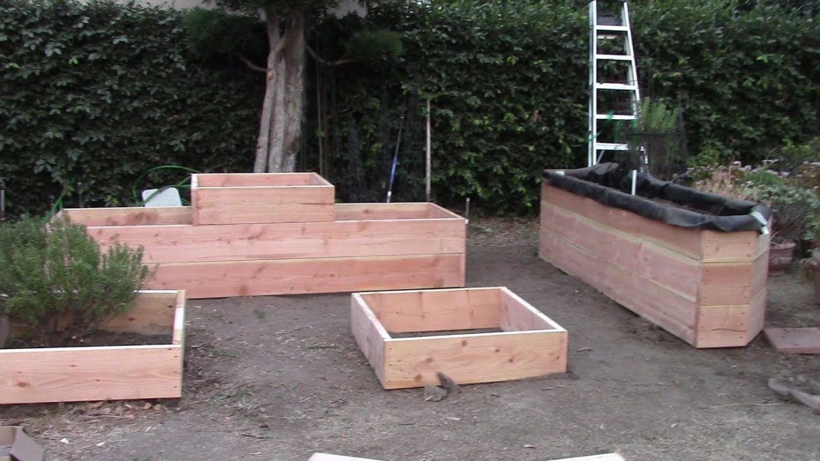 Backyard Ecological Landscape: Garden Boxes