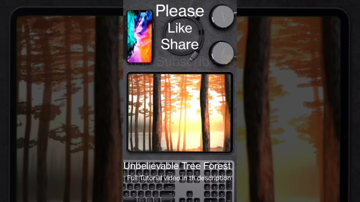 Amazing Tree Forest | #viralshorts #viralvideo #viral #beach #sunrise Amazing Tree Forest | #viralshorts #viralvideo #viral #beach #sunrise