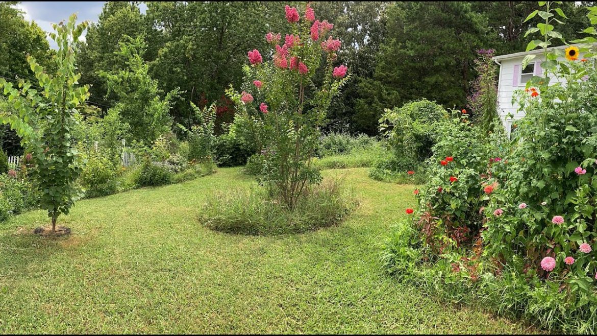 Wildlife Garden Design Tips and Tricks || Layout Wildlife Garden Design Tips and Tricks || Layout