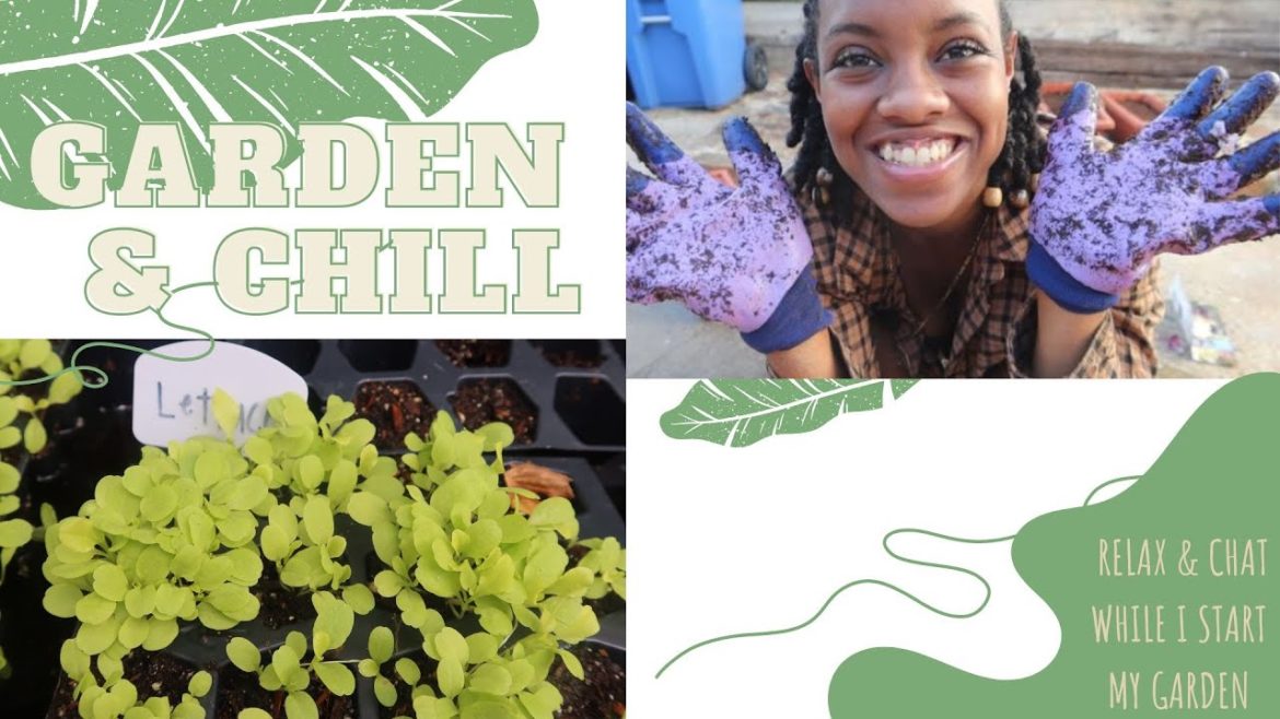 Starting My Affordable Backyard Garden From Seed 2022 | Garden & Chill