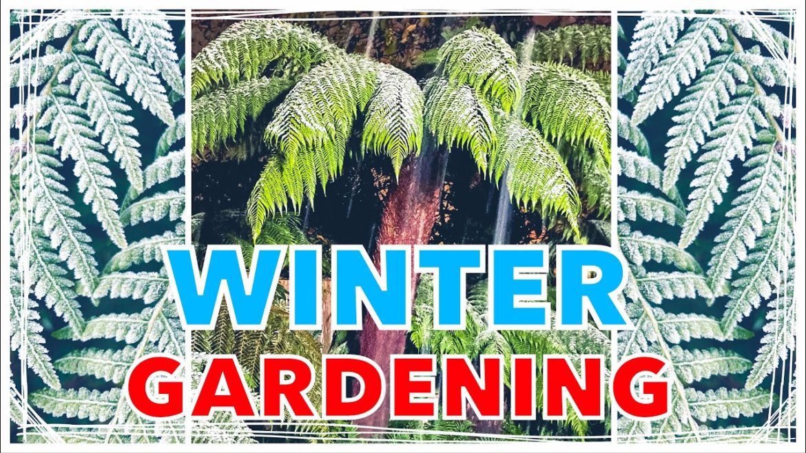 5 Winter Gardening Tips - Ideas, Inspiration & Garden Motivation!