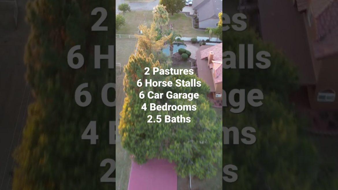 Acre Plus Horse Property in Gilbert, AZ