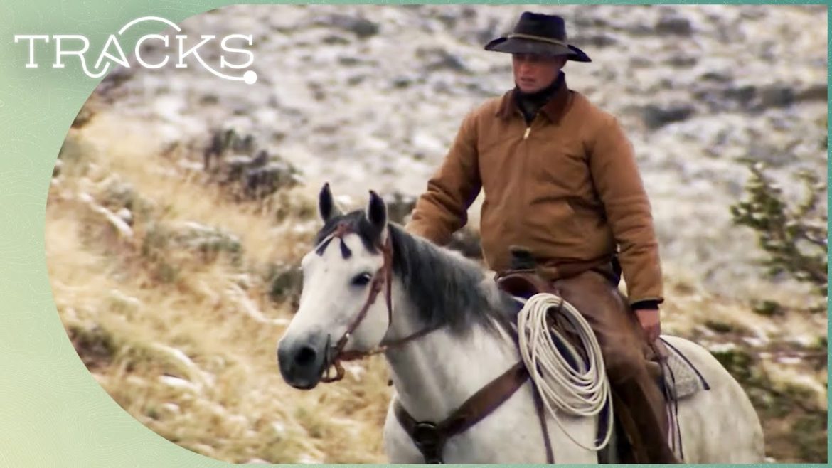 America's Wild West Culture | Somewhere On Earth | TRACKS America's Wild West Culture | Somewhere On Earth | TRACKS