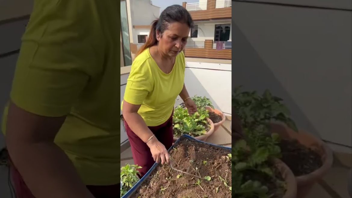 नहीं हो रही यह दोबारा