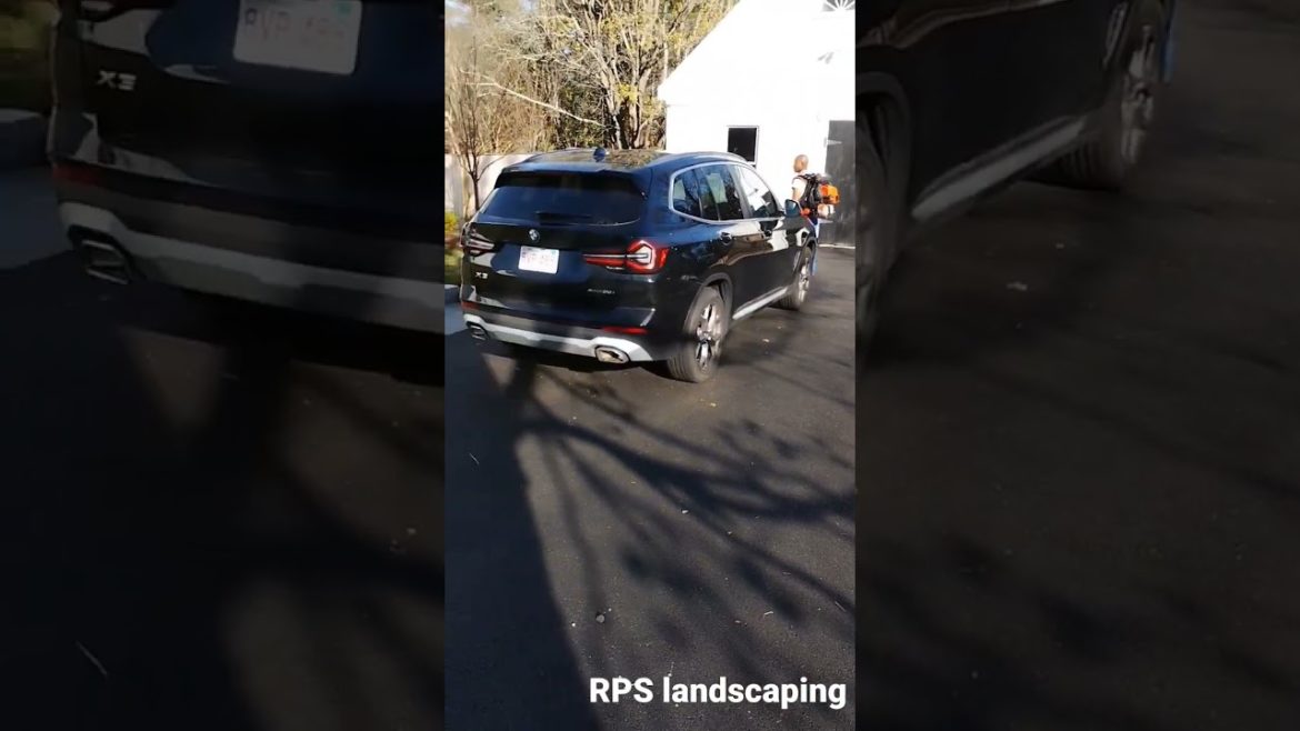 In the blink of an eye the landscaping does its job