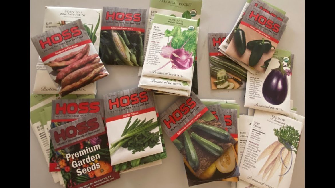 SEED HAUL for 2023 Vegetable Garden! SEED HAUL for 2023 Vegetable Garden!