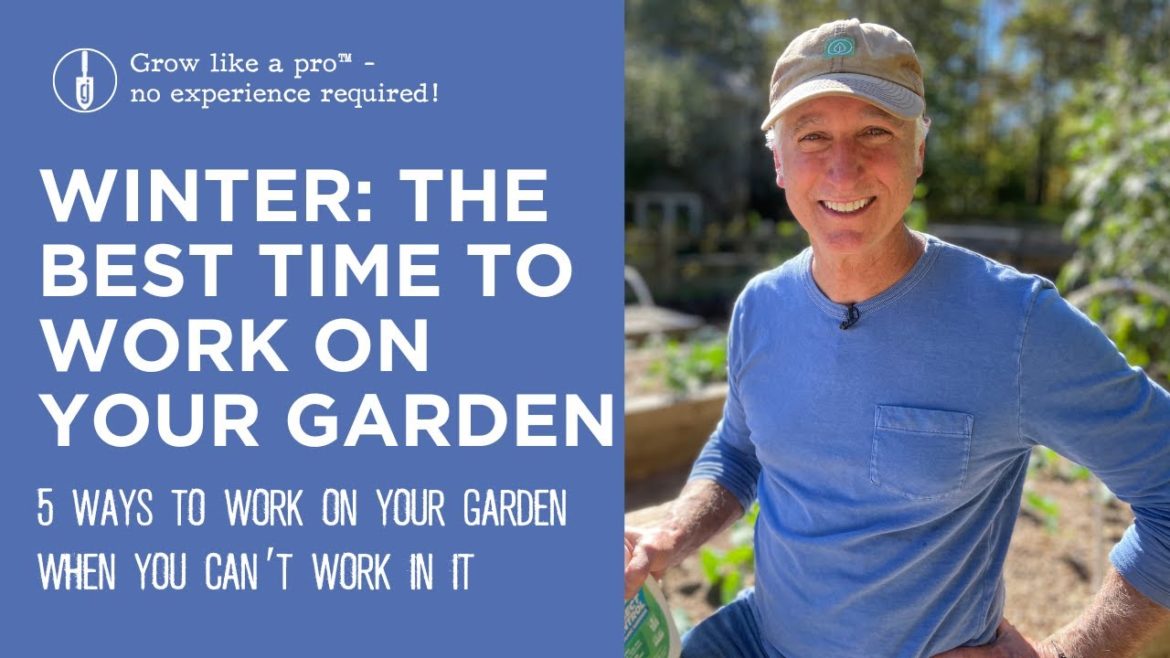 5 Ways to Work On Your Garden in Winter