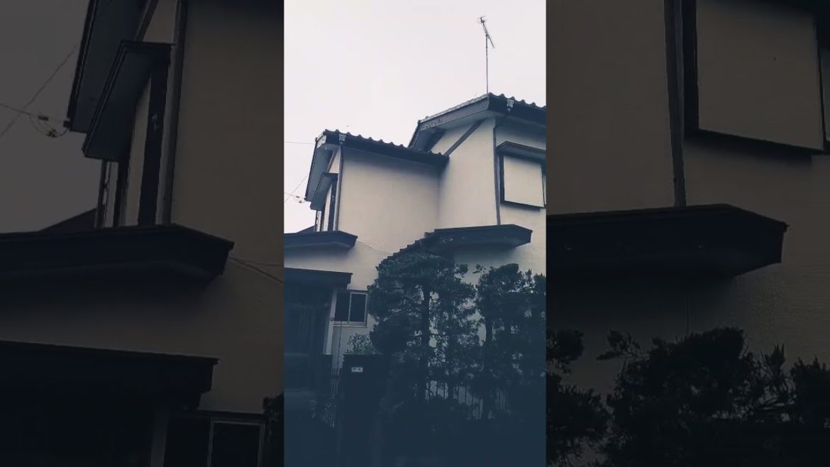 Japanese old house and yard