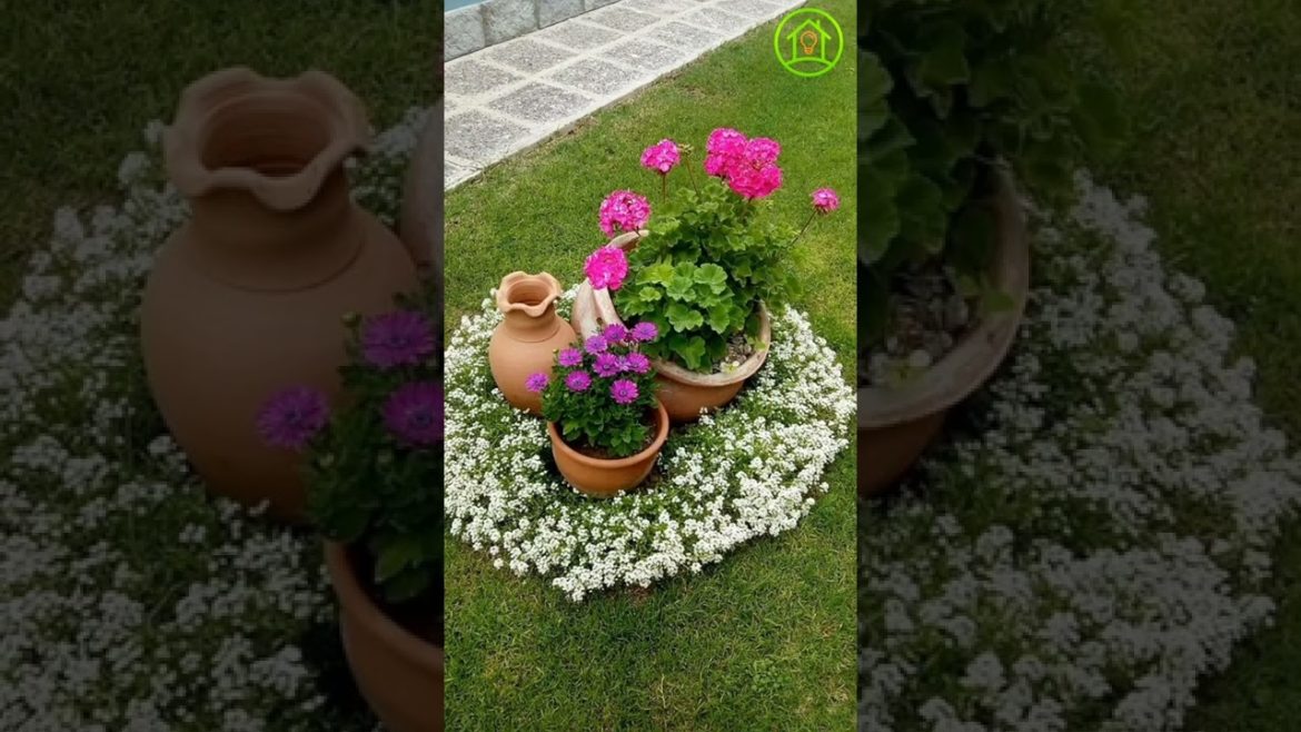 Ideas of unusual beautiful flower beds