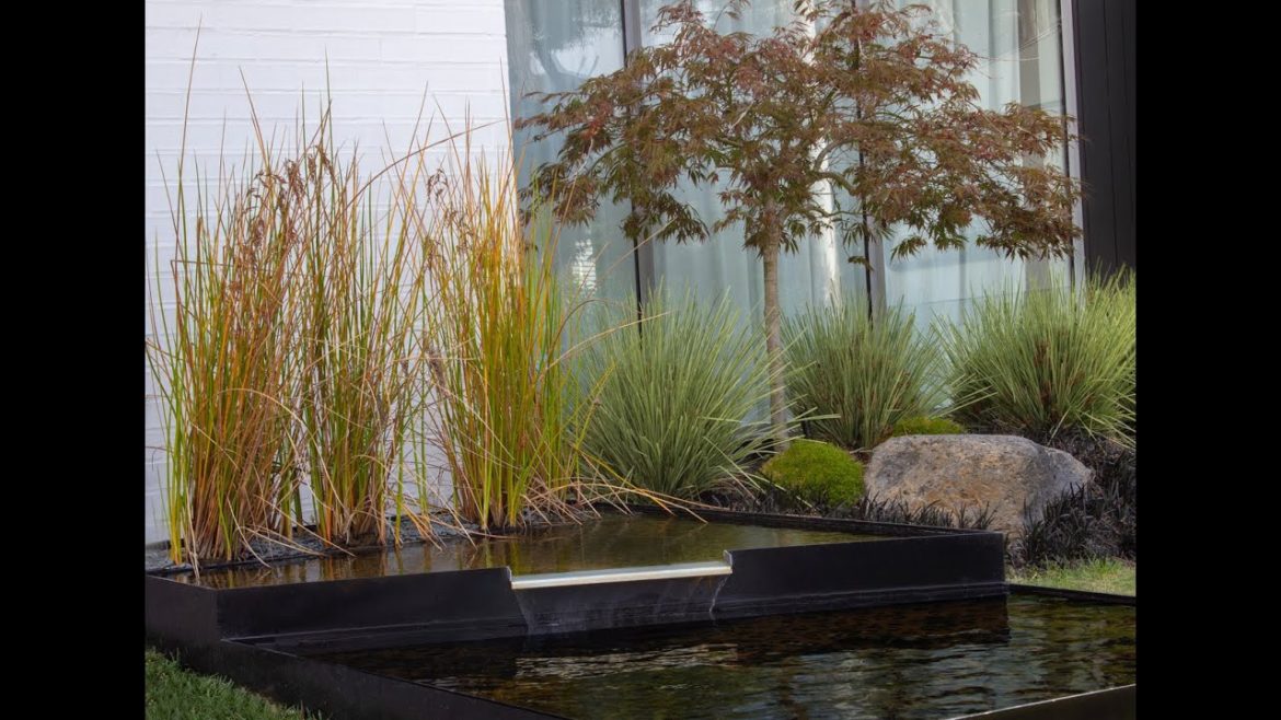 Modern Landscape Ideas