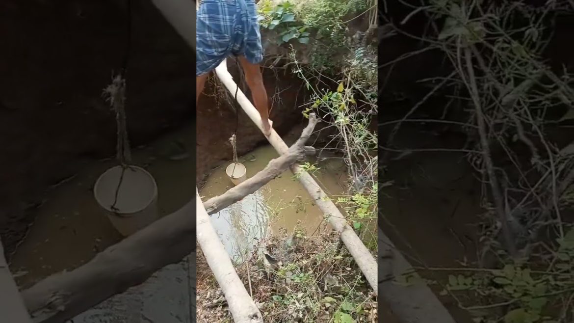 Free Water Supply for Garden Growing Vegetables ! Free Water Supply for Garden Growing Vegetables !