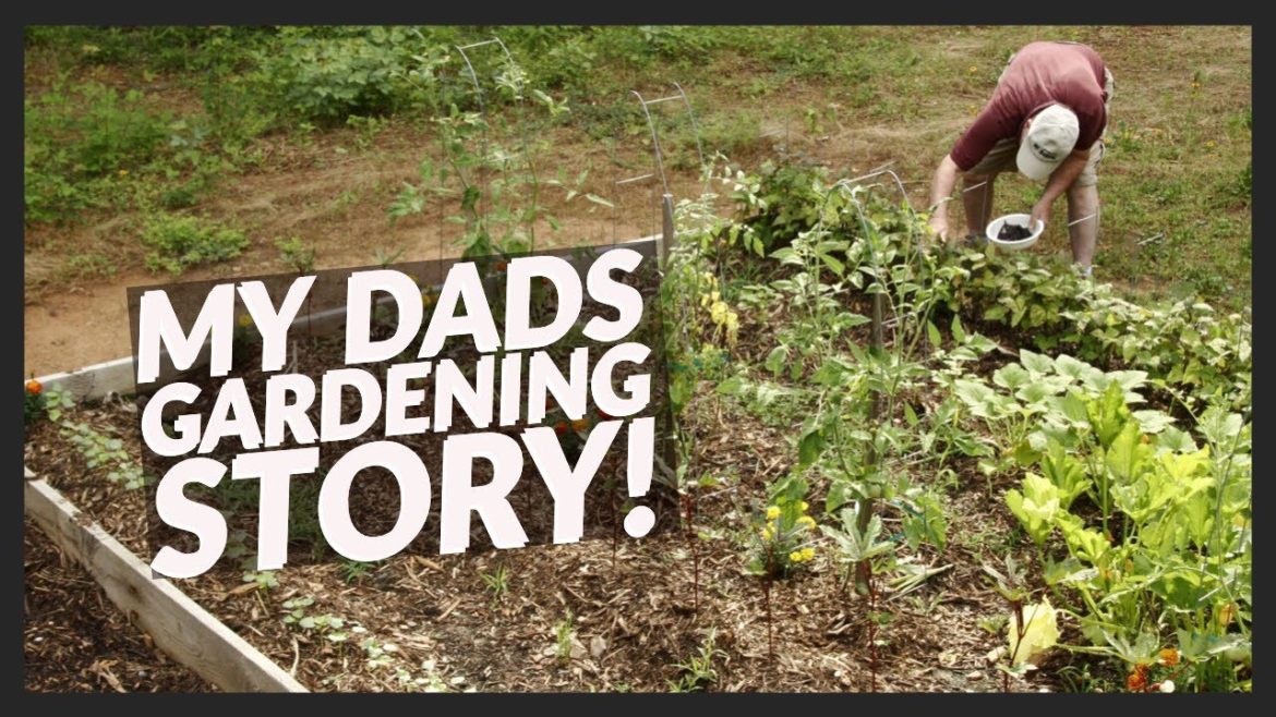THE BENEFITS OF VEGETABLE GARDENING AND SUSTAINABLE LIVING THE BENEFITS OF VEGETABLE GARDENING AND SUSTAINABLE LIVING