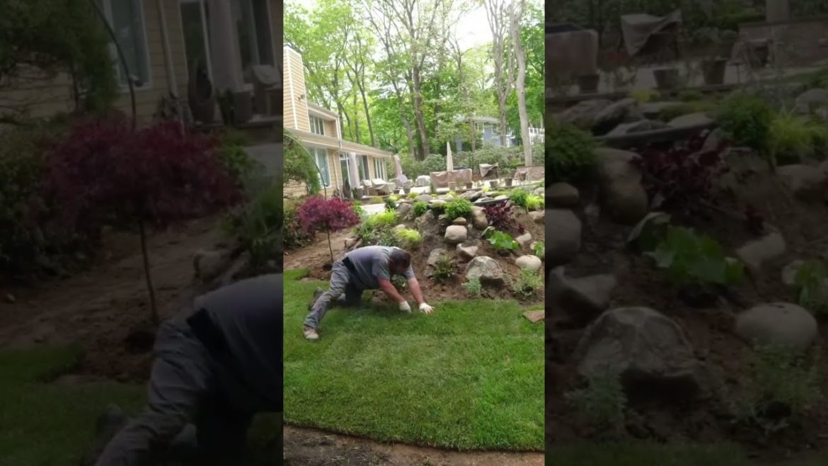 Pond build with Patio Paving & Planting