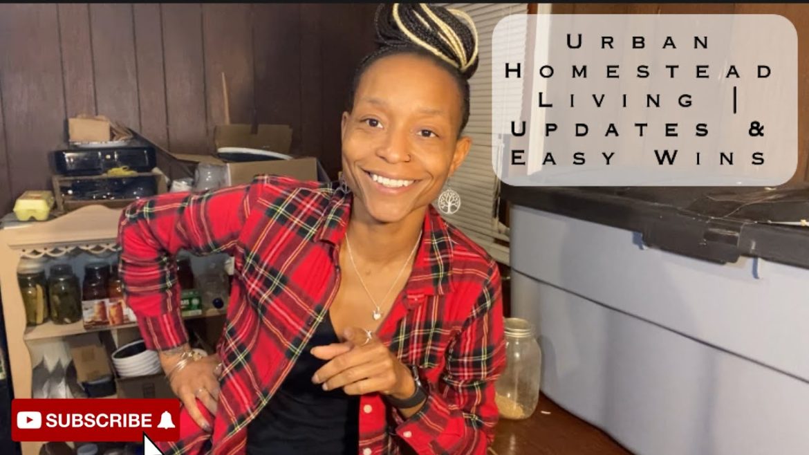 Urban Homestead Living | Quail & Microgreens Urban Homestead Living | Quail & Microgreens