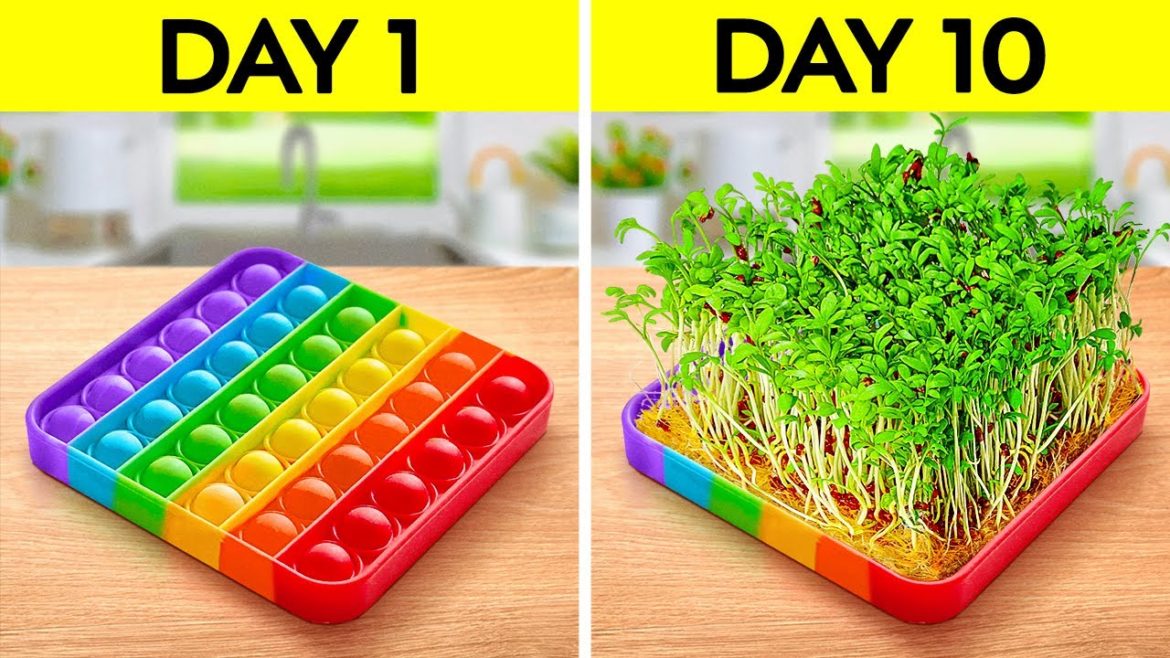 SMART GARDENING HACKS || Awesome Plant Growing Hacks For Beginners By 123 GO! SERIES