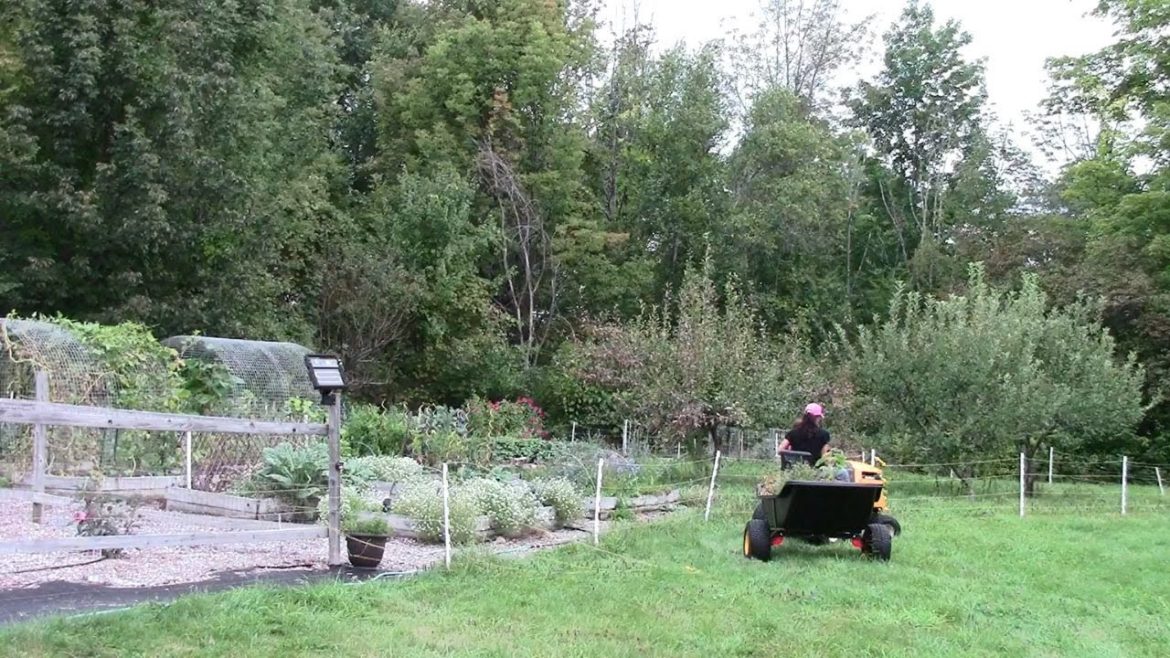 Top 5 Easy to Grow Vegetables that Produce So Much Food Top 5 Easy to Grow Vegetables that Produce So Much Food