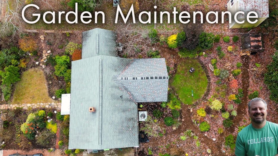 A Day in the Garden and Amaryllis Planting - Drone View