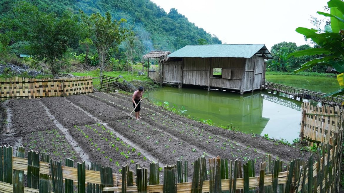 Start Planting a Vegetable Garden – Grill Pork and Eat With New Pet/ Part 1 Start Planting a Vegetable Garden - Grill Pork and Eat With New Pet/ Part 1