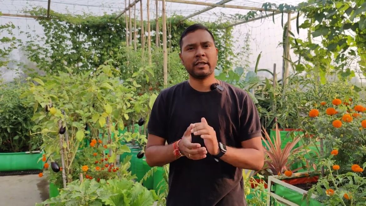 OrganicBazar : Online Garden Store | Buy Gardening Product Online