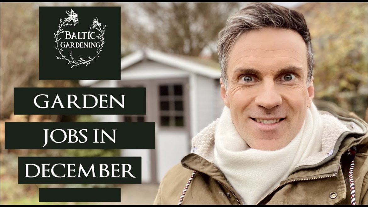 Garden jobs in winter. Gardening in December. The garden in winter. Baltic Gardenig