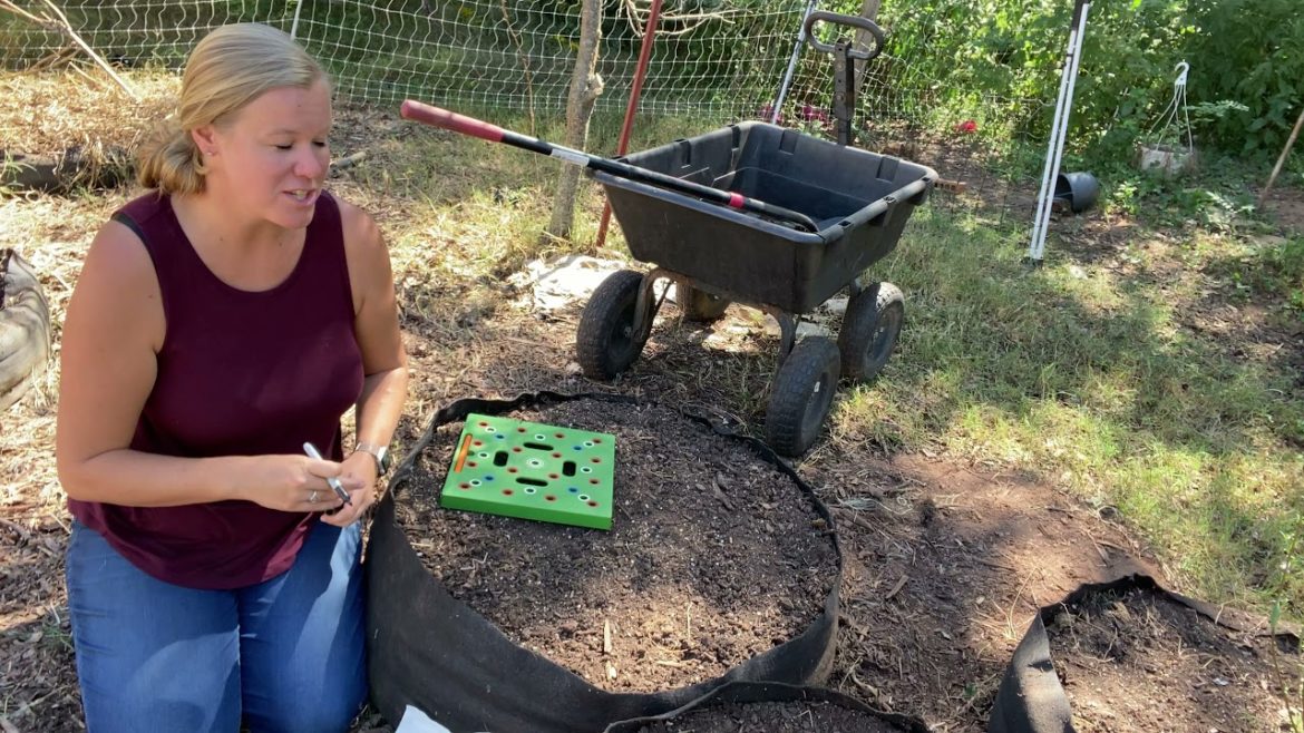 🌱 Planting Fall Spinach Seeds Using Square Foot Gardening
