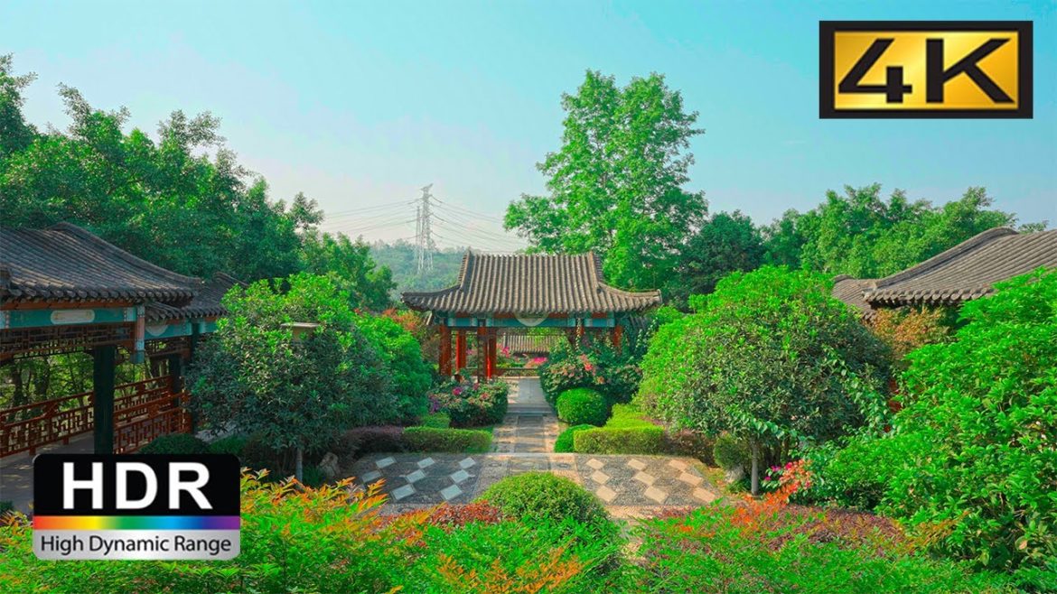 China City Park Walking|ChongQing Garden Expo Park Walk|Leisure life |Walk Trave|Photo Scenic Spots