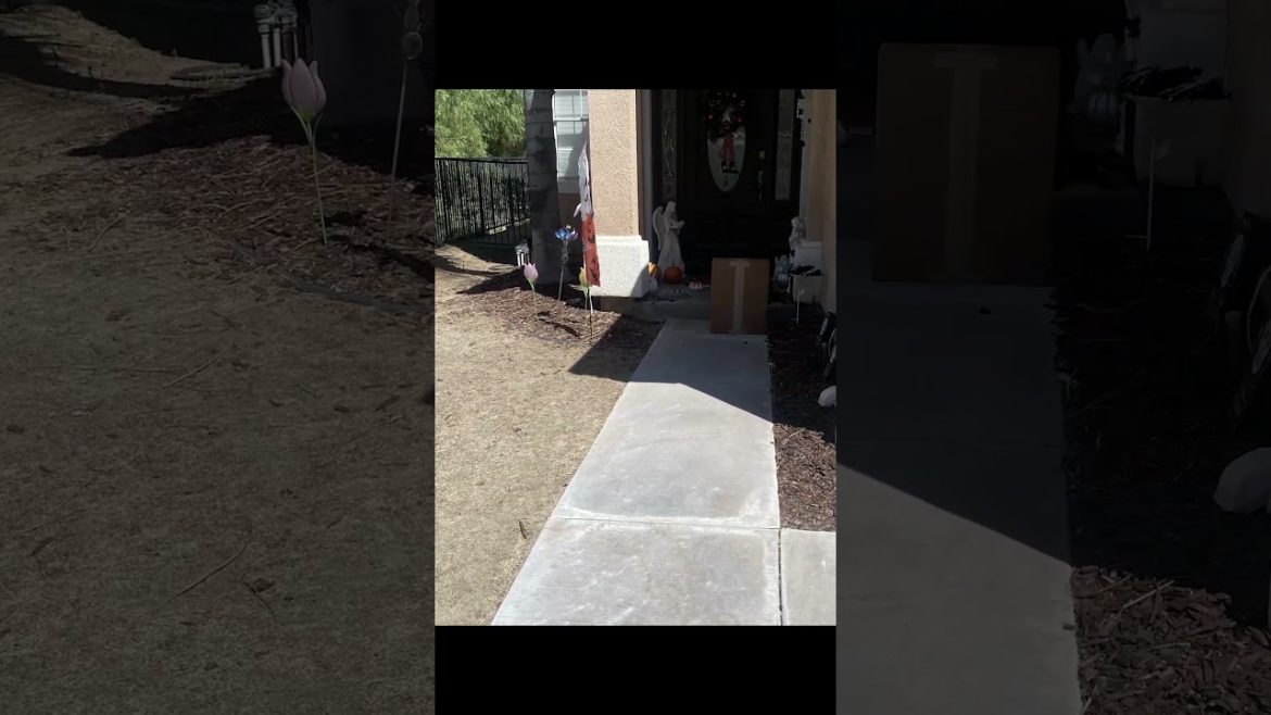 Amazing yard transformation