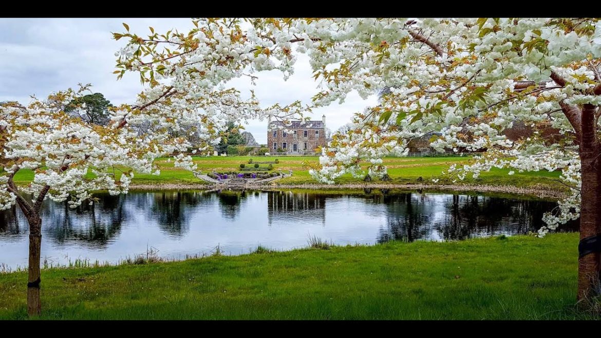 Lakeside Landscaping Ideas