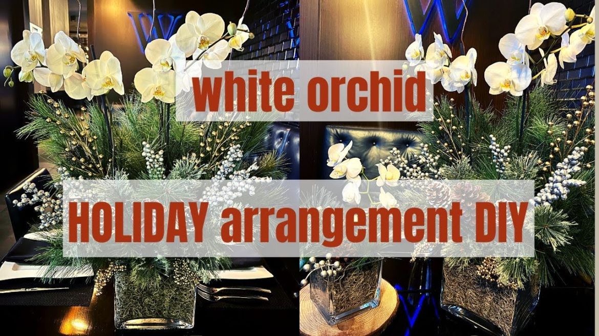 Create a stunning White Orchid Arrangement for the Holidays! Create a stunning White Orchid Arrangement for the Holidays!